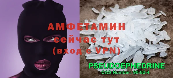 прущие грибы Шарыпово