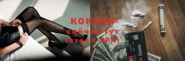 прущие грибы Шарыпово