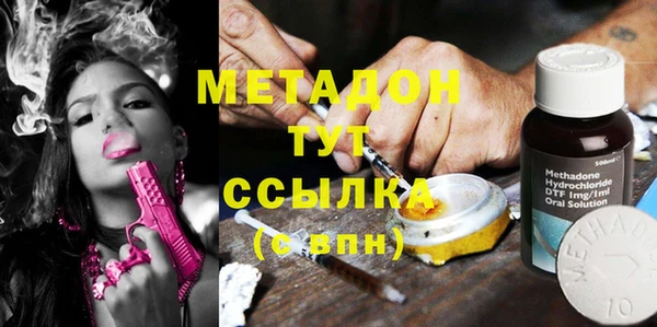 прущие грибы Шарыпово