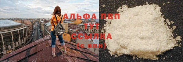 сатива Шадринск