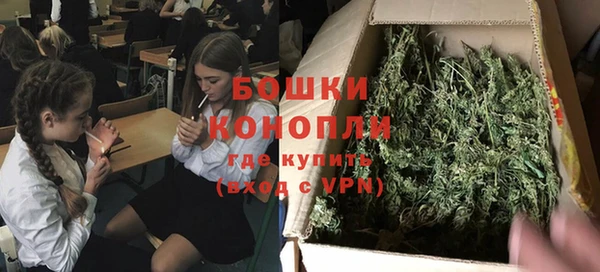 сатива Шадринск