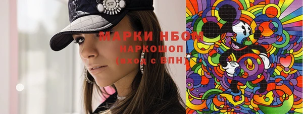 сатива Шадринск