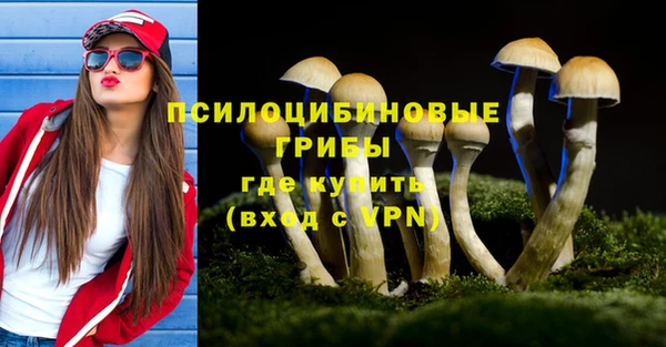 сатива Шадринск