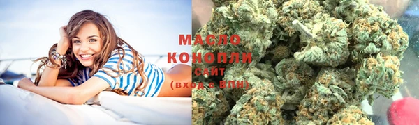 сатива Шадринск