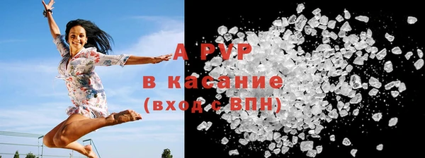 прущие грибы Шарыпово