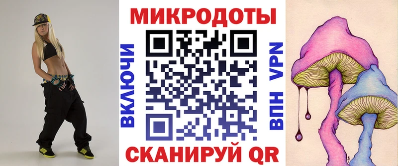 Купить  Алатырь  Галлюциногенные грибы Psilocybe 